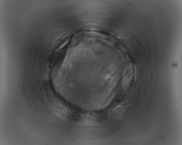 X0000088850868200706291453