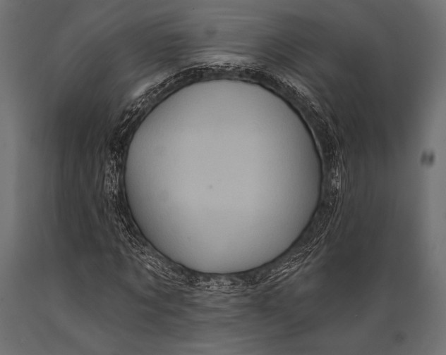 X0000088850869200706291453