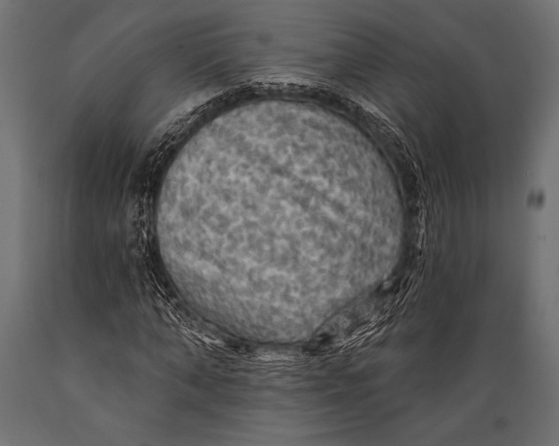 X0000088850870200706291453