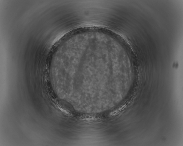 X0000088850871200706291453