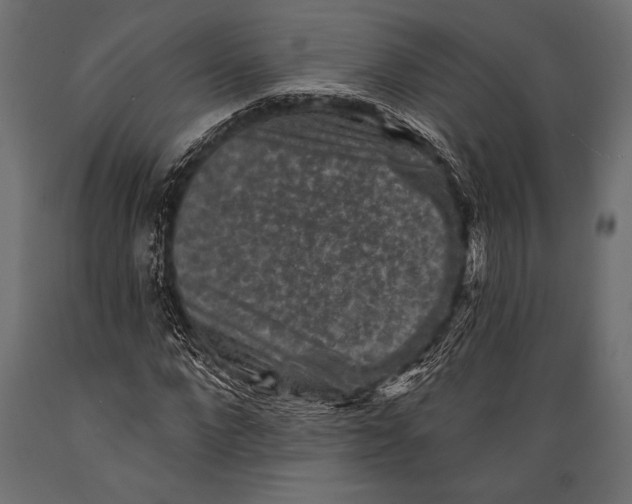 X0000088850872200706291453