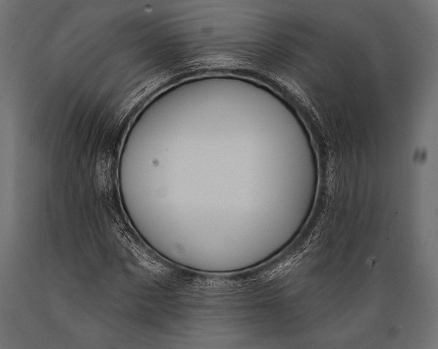 X0000088850873200706291453