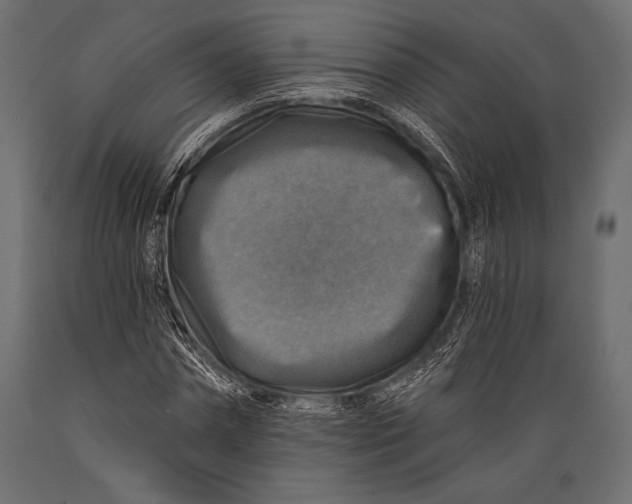 X0000088850874200706291453