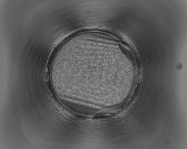 X0000088850876200706291453