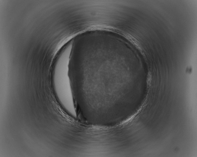 X0000088850877200706291453