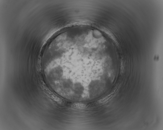 X0000088850878200706291453