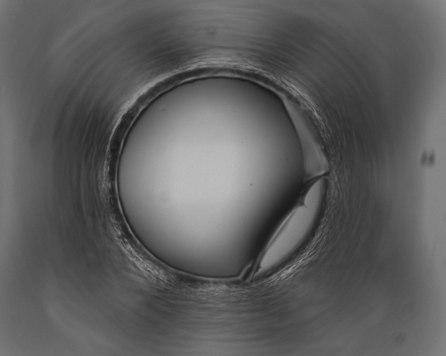 X0000088850880200706291453