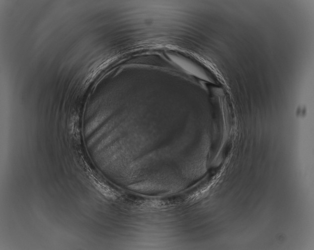 X0000088850881200706291453