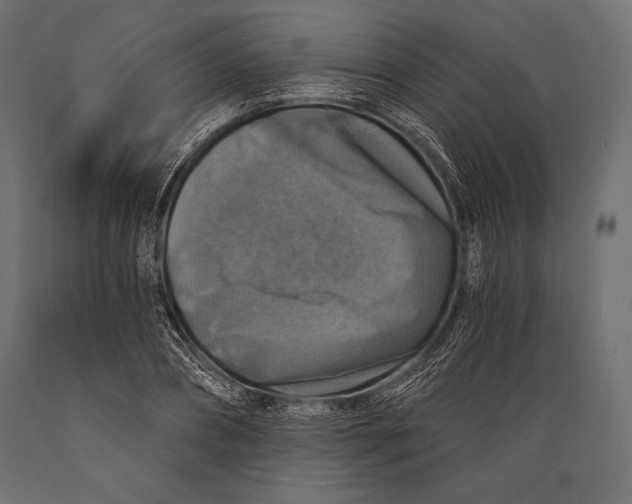 X0000088850882200706291453