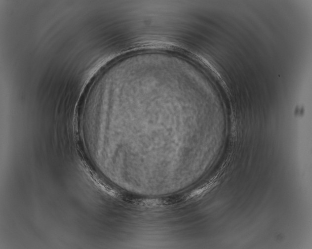 X0000088850883200706291453