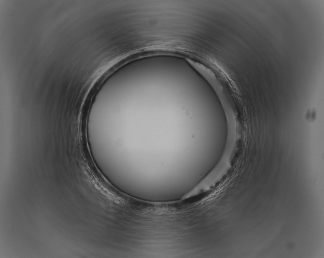 X0000088850884200706291453