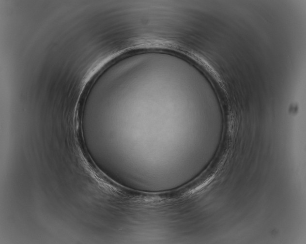 X0000088850885200706291453