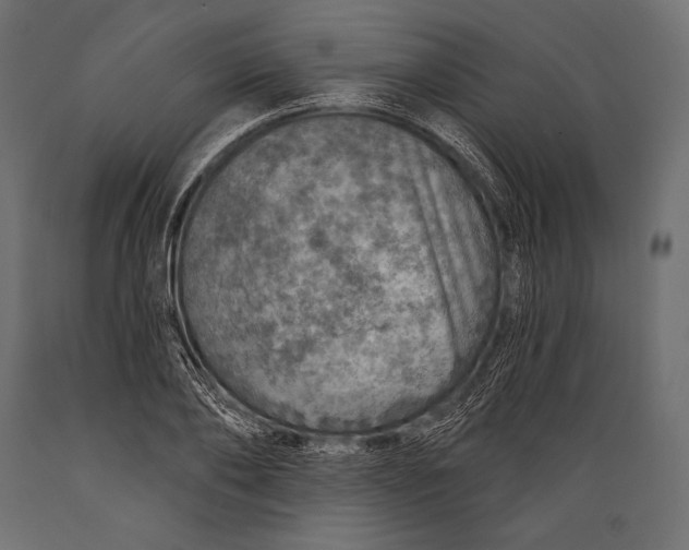 X0000088850886200706291453