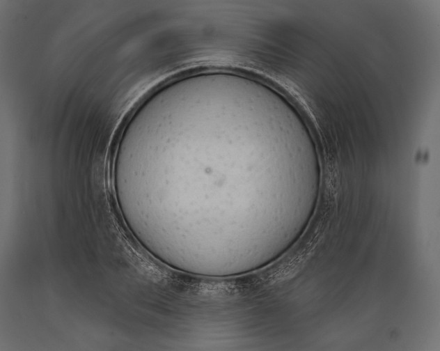 X0000088850887200706291453