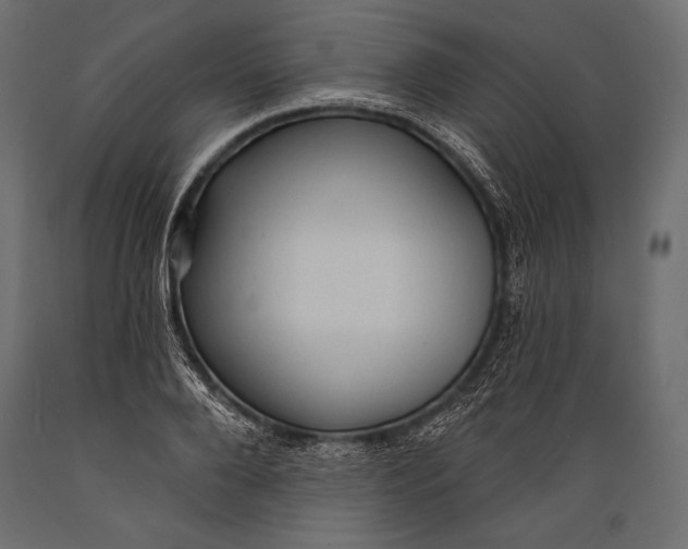 X0000088850888200706291452