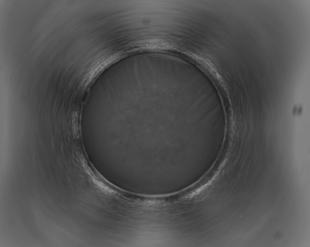 X0000088850889200706291452