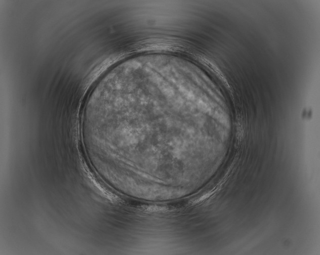 X0000088850890200706291452