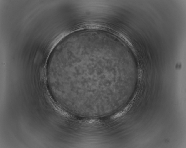 X0000088850891200706291452