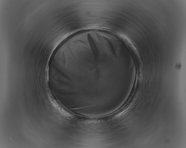 X0000088850892200706291452