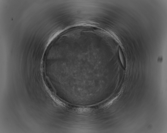 X0000088850893200706291452