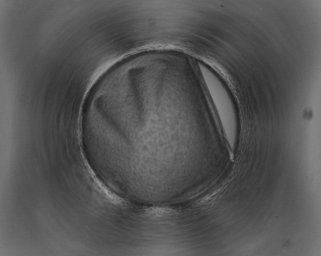 X0000088850894200706291452