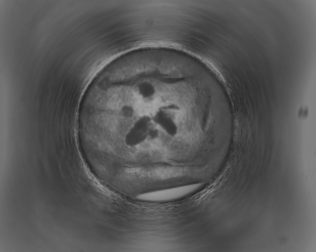 X0000088850895200706291452