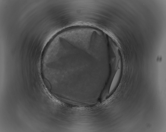 X0000088850896200706291452