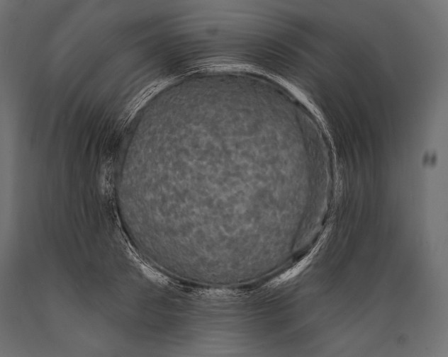 X0000088850897200706291452