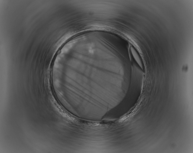 X0000088850899200706291452