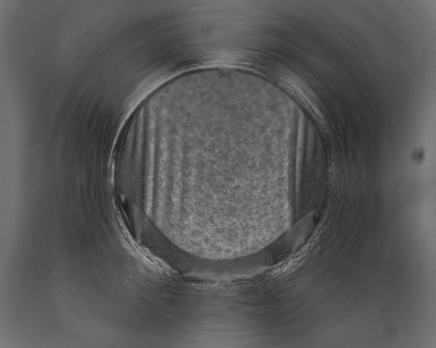 X0000088850900200706291452