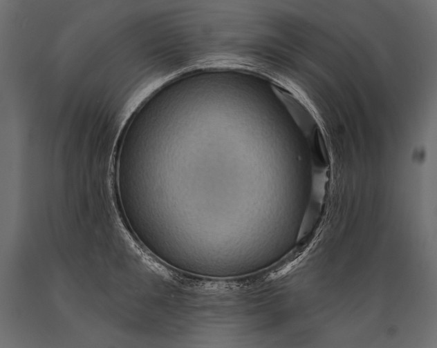 X0000088850901200706291452