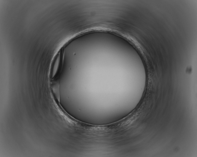 X0000088850902200706291452