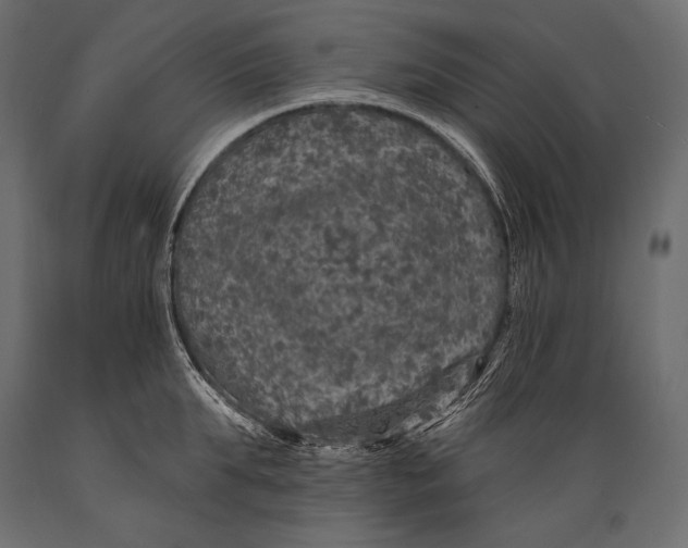 X0000088850903200706291452