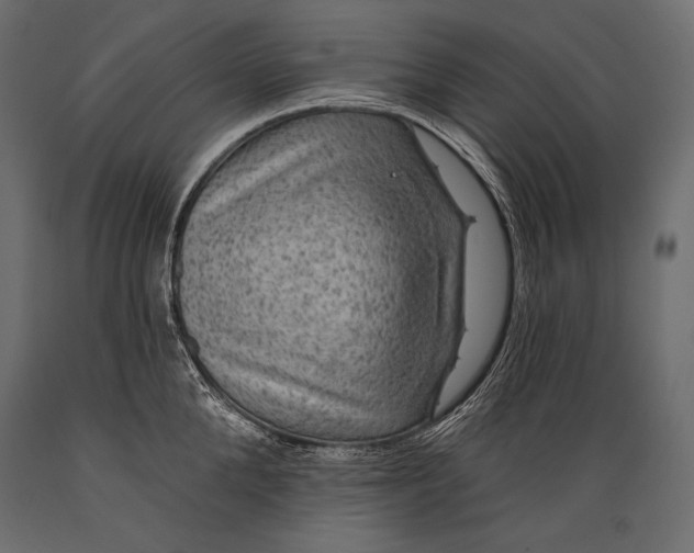 X0000088850904200706291452