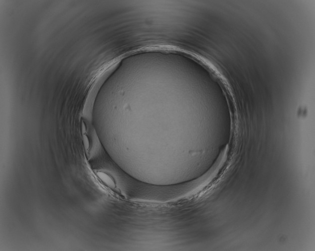 X0000088850905200706291452