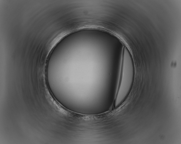 X0000088850906200706291452