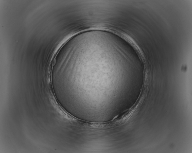 X0000088850908200706291452