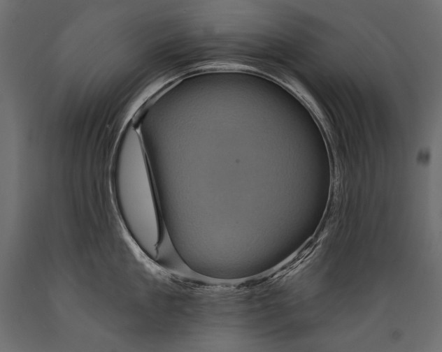 X0000088850909200706291452