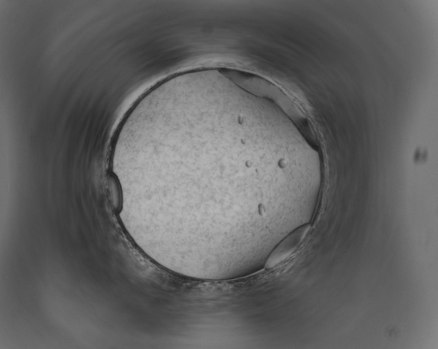 X0000088850912200706291452