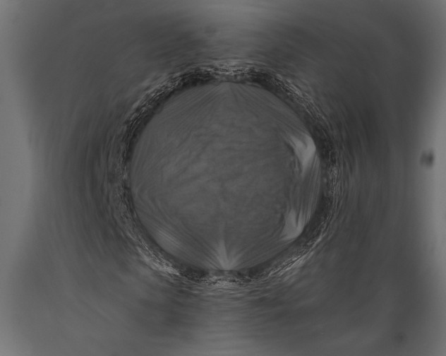 X0000088850913200706291451