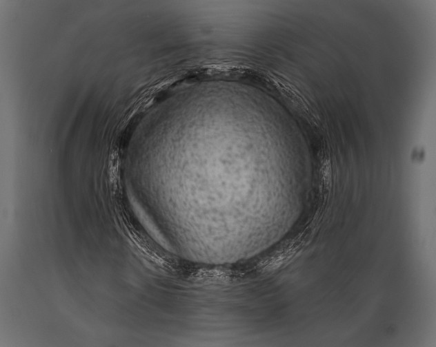 X0000088850914200706291451