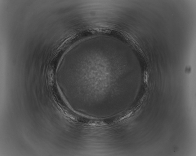 X0000088850915200706291451