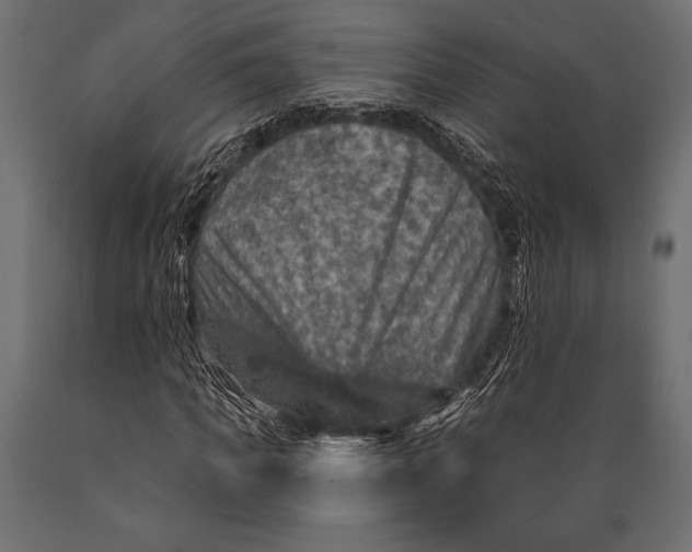 X0000088850917200706291451