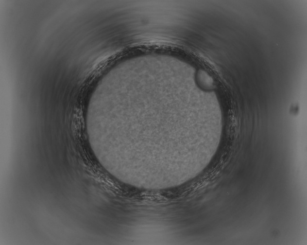 X0000088850918200706291451