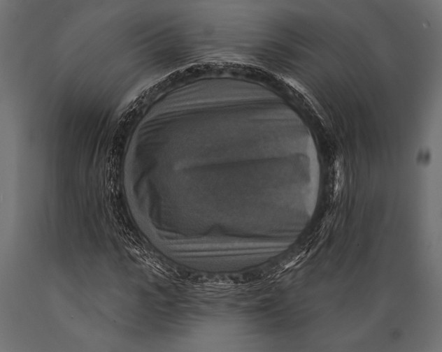 X0000088850919200706291451