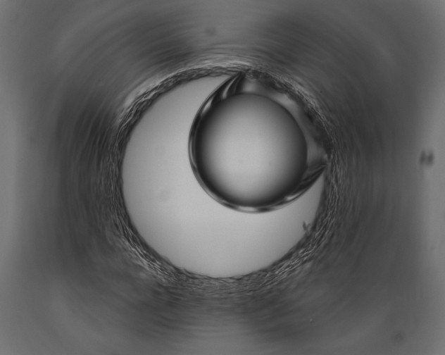 X0000088850920200706291451