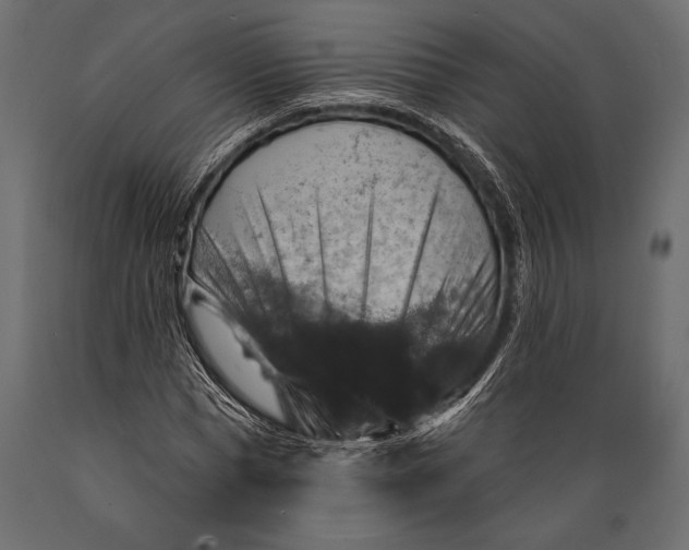 X0000088850921200706291451