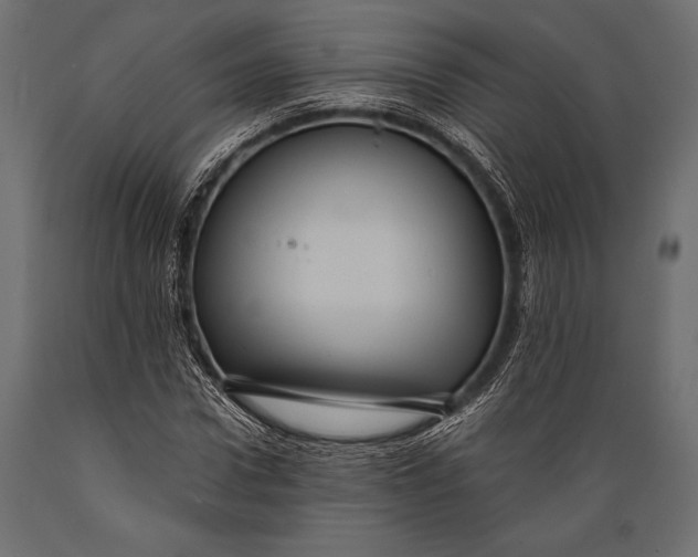 X0000088850922200706291451