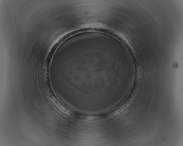 X0000088850923200706291451