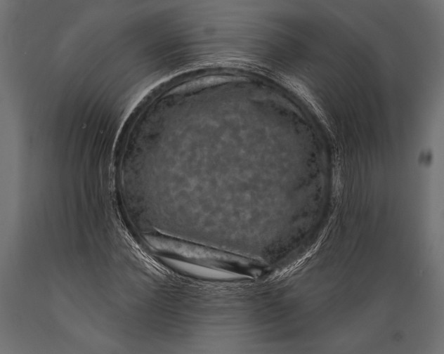 X0000088850924200706291451